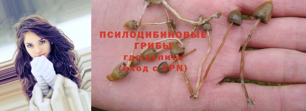 гидра Аркадак