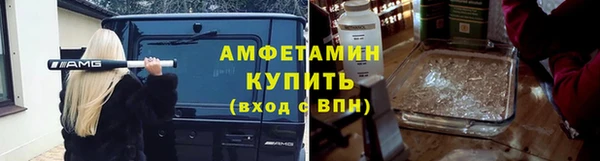 гидра Аркадак