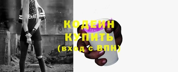 дживик Семилуки