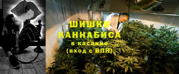 прущие крисы Арсеньев