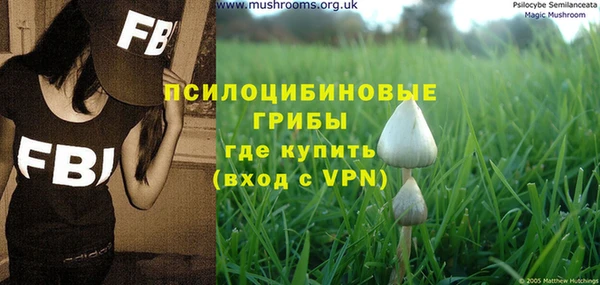 прущие крисы Арсеньев