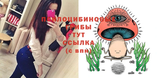 гидра Аркадак
