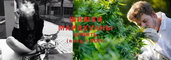 прущие крисы Арсеньев