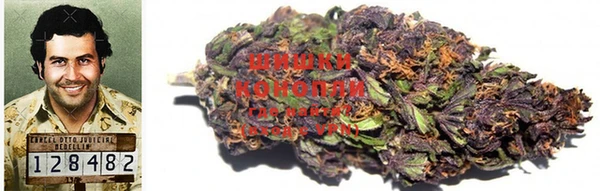 прущие крисы Арсеньев