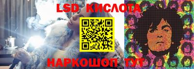 спайс Гагарин