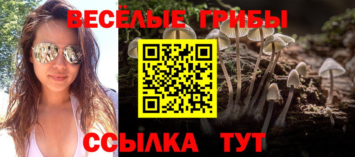 где продают   Горно-Алтайск  Псилоцибиновые грибы ЛСД  Галлюциногенные грибы ЛСД 