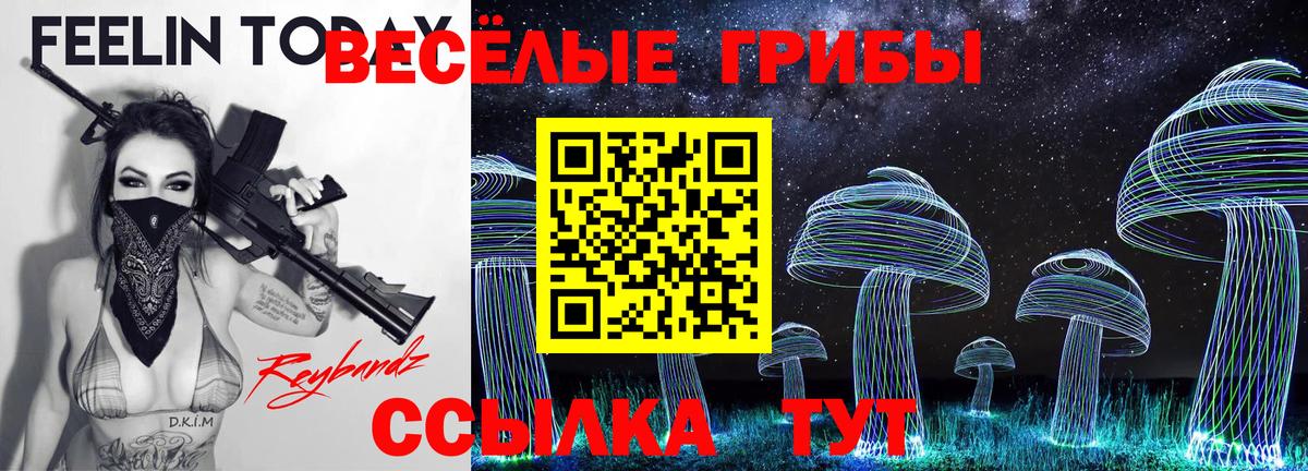 Галлюциногенные грибы ЛСД  Псилоцибиновые грибы ЛСД  Горно-Алтайск  Вход с VPN 