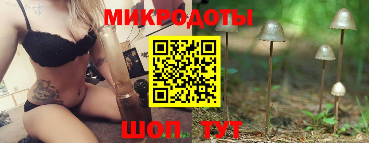 Галлюциногенные грибы ЛСД Горно-Алтайск